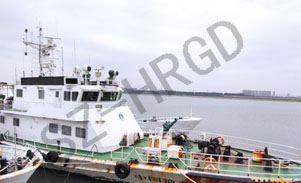 560现场12301X183副本